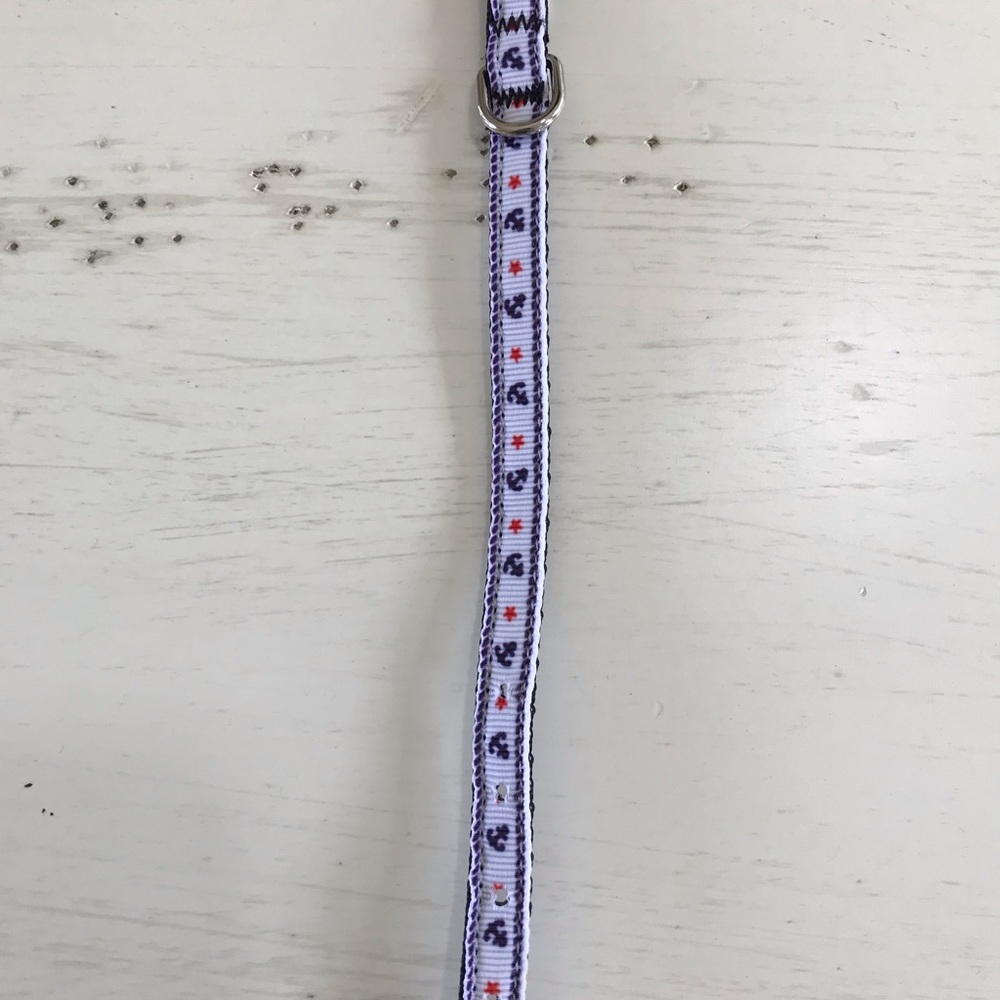Anchor 8 inch Dog Collar